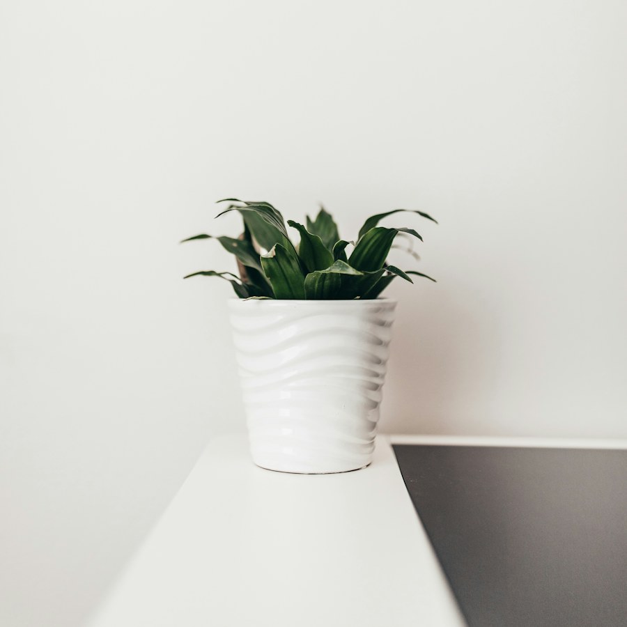Decorative ceramic planter illustration